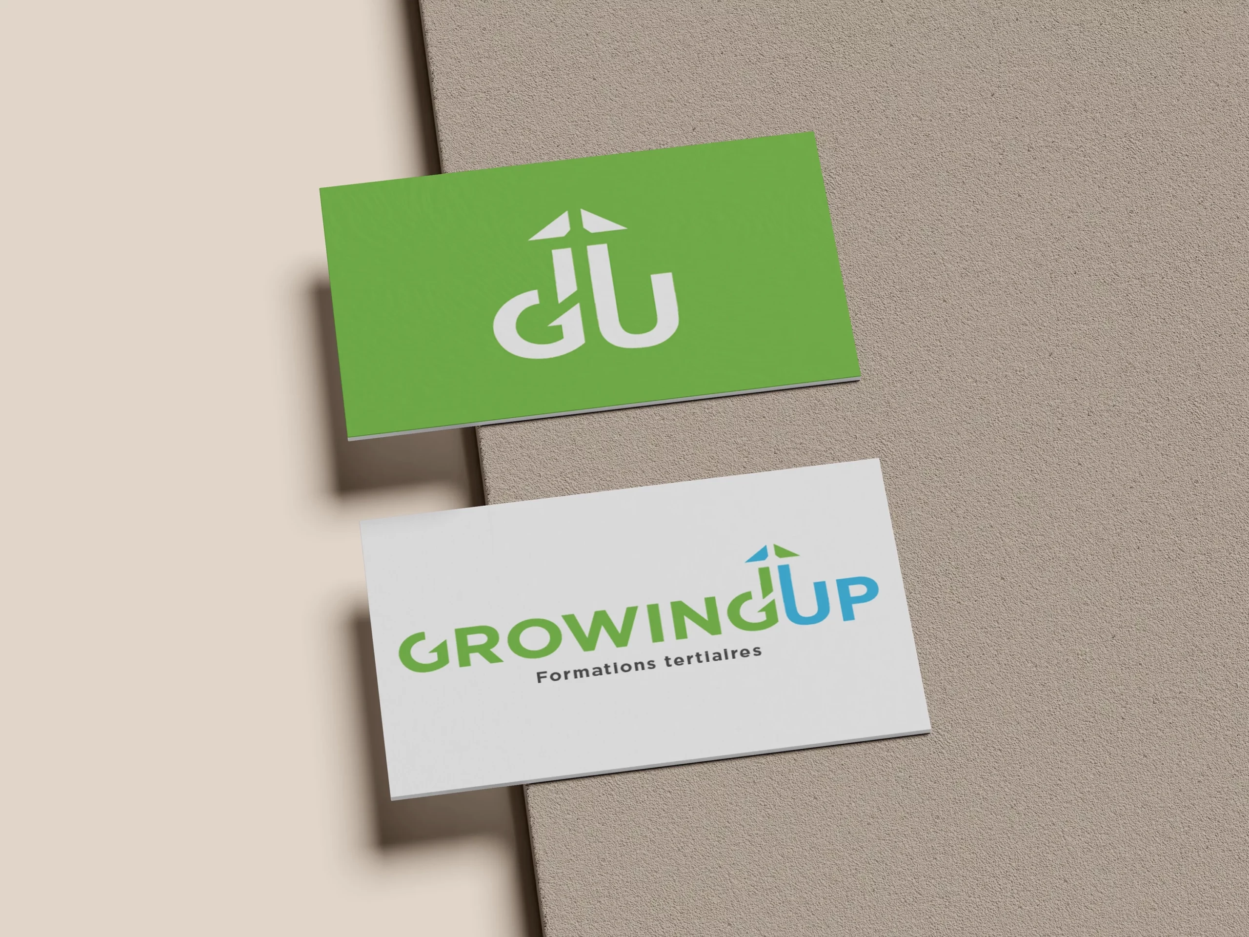 stage-bordeaux-logo-creation-sarmento-dylan-concepteur-webdesign-graphique copie
