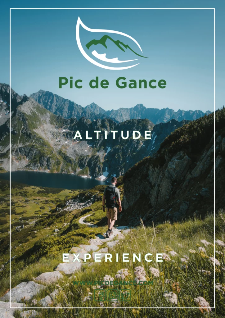Affiche webdesign par Dylan Sarmento à Bordeaux